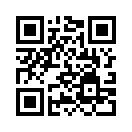 QR CODE 291