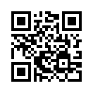 QR CODE 293