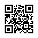 QR CODE 294