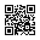 QR CODE 295