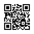 QR CODE 298