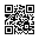 QR CODE 299