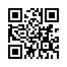 QR CODE 300