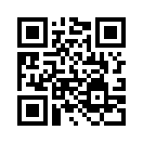 QR CODE 301