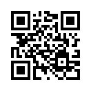 QR CODE 304
