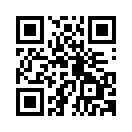 QR CODE 305