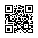 QR CODE 307