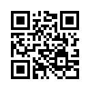 QR CODE 308