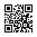 QR CODE 313
