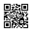 QR CODE 316