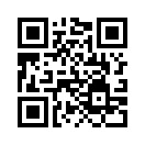 QR CODE 317