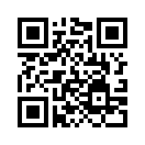 QR CODE 319