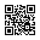 QR CODE 329