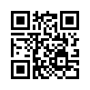 QR CODE 53
