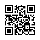 QR CODE 65