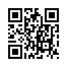 QR CODE 110