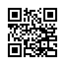 QR CODE 133
