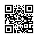 QR CODE 31