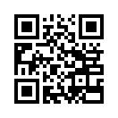 QR CODE 42