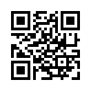 QR CODE 110