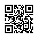 QR CODE 113