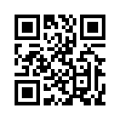 QR CODE 131