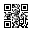 QR CODE 133