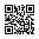 QR CODE 31