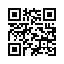 QR CODE 33