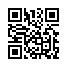 QR CODE 53