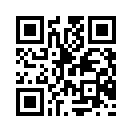 QR CODE 91