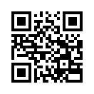 QR CODE 31