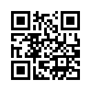QR CODE 124