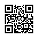QR CODE 131