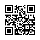 QR CODE 132