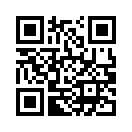 QR CODE 133