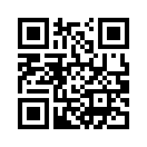 QR CODE 137