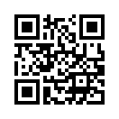 QR CODE 161