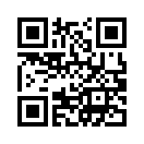QR CODE 175