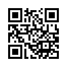 QR CODE 176