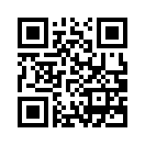 QR CODE 31