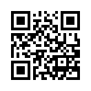QR CODE 46