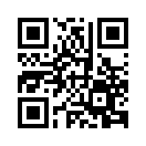 QR CODE 110