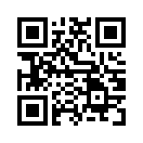 QR CODE 133