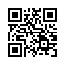 QR CODE 171