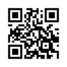 QR CODE 25