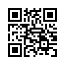 QR CODE 53