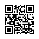 QR CODE 133