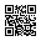 QR CODE 233