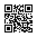 QR CODE 256